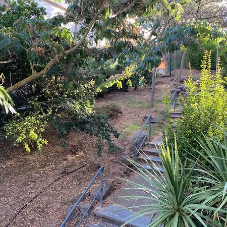 La Baleine Rose Centre Cap D'agde
