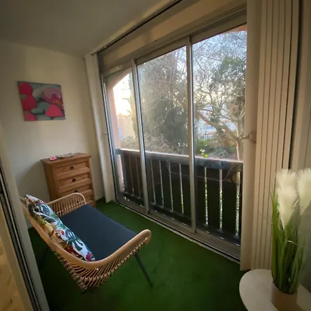 La Baleine Rose Centre Cap D'agde Appartamento