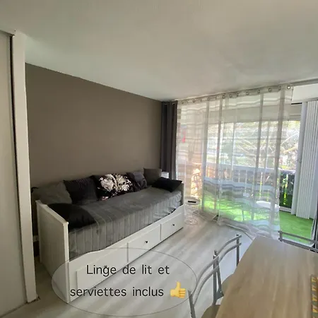 La Baleine Rose Centre Cap D'agde Apartment Agde