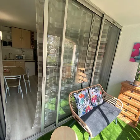 Apartment La Baleine Rose Centre Cap D'agde *